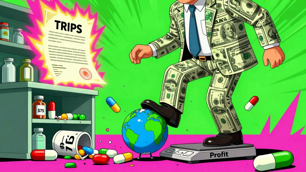 How TRIPS Patent Rules Shape Global Access to Generic Medicines